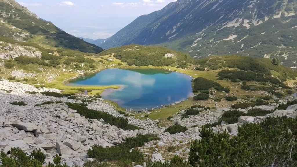Pirina Club Hotel Bansko Eksteriør billede