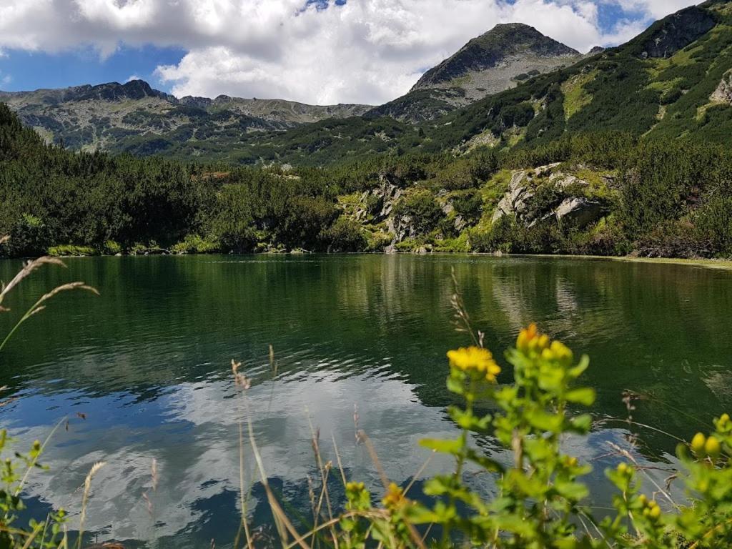Pirina Club Hotel Bansko Eksteriør billede