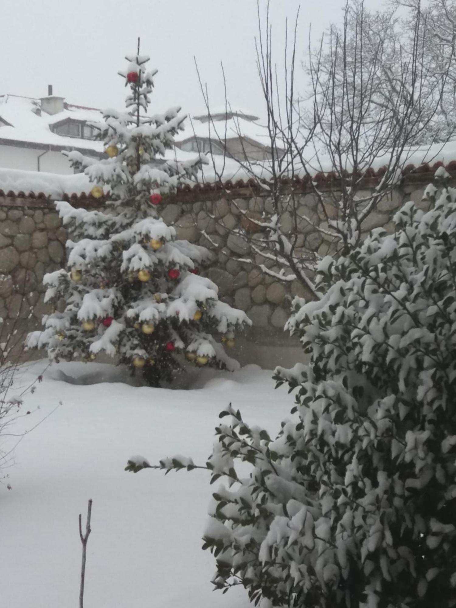Pirina Club Hotel Bansko Eksteriør billede